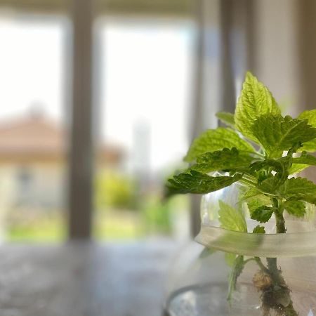 Apartmenthaus Luett Meer Ludorf エクステリア 写真