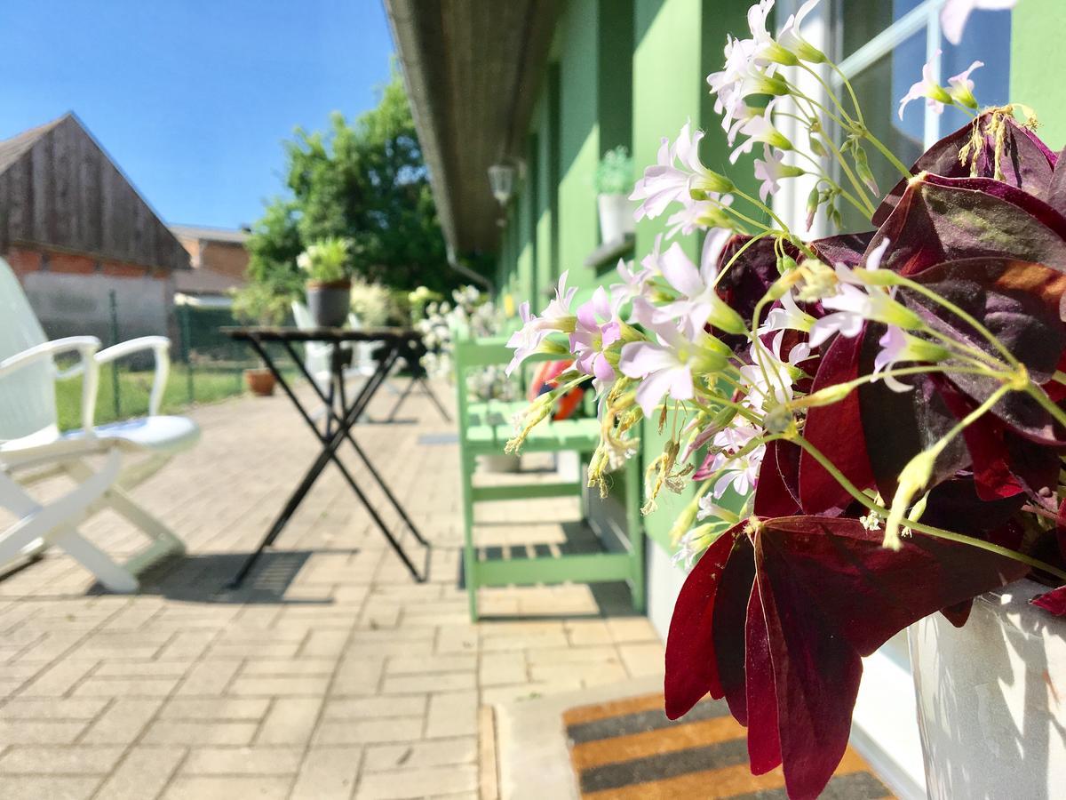 Apartmenthaus Luett Meer Ludorf エクステリア 写真